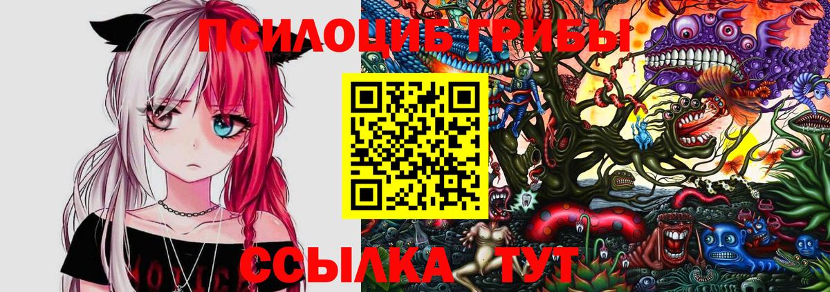 Галлюциногенные грибы мухоморы  Псилоцибиновые грибы Psilocybe  Вход с VPN  хочу   Сосновый Бор 